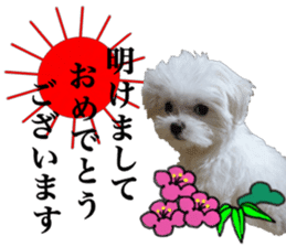 Cute Maltese family sticker #15141876