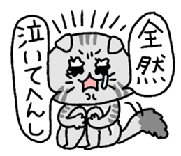 Kansai cat stiker sticker #15141999