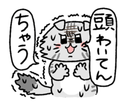 Kansai cat stiker sticker #15142003