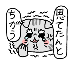 Kansai cat stiker sticker #15142011
