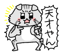 Kansai cat stiker sticker #15142013