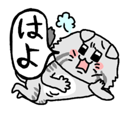 Kansai cat stiker sticker #15142025