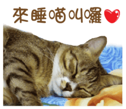 Boots White sticker #15145228