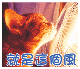 Boots White sticker #15145229