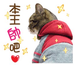 Boots White sticker #15145231