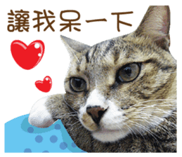 Boots White sticker #15145232