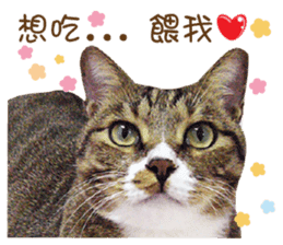 Boots White sticker #15145233