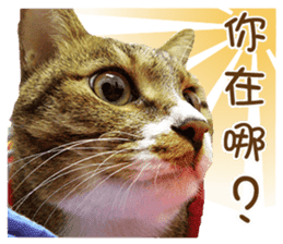 Boots White sticker #15145234