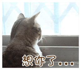 Boots White sticker #15145235