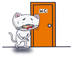 Kotaro-cat English ver. sticker #15146256
