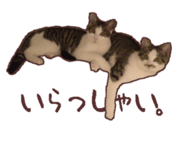 a-chan&shi-chan sticker #15147798