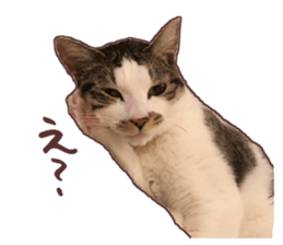 a-chan&shi-chan sticker #15147799