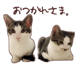 a-chan&shi-chan sticker #15147800