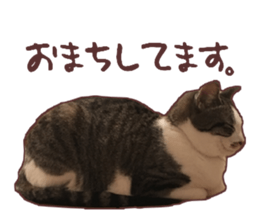 a-chan&shi-chan sticker #15147801