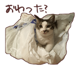 a-chan&shi-chan sticker #15147802