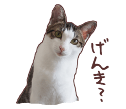 a-chan&shi-chan sticker #15147803