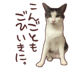 a-chan&shi-chan sticker #15147804