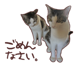 a-chan&shi-chan sticker #15147805