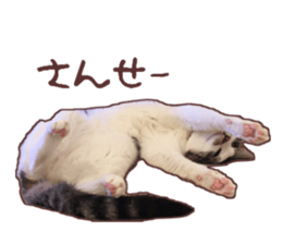 a-chan&shi-chan sticker #15147806