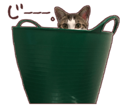 a-chan&shi-chan sticker #15147807