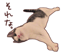 a-chan&shi-chan sticker #15147808