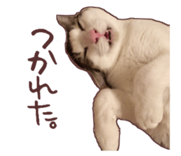 a-chan&shi-chan sticker #15147809