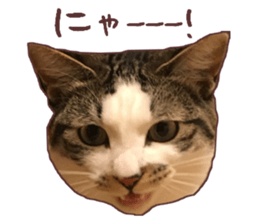 a-chan&shi-chan sticker #15147811