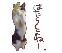 a-chan&shi-chan sticker #15147812