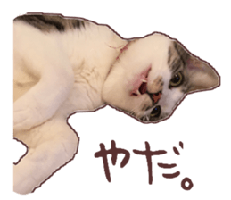 a-chan&shi-chan sticker #15147813