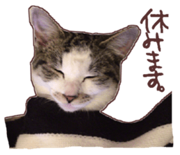 a-chan&shi-chan sticker #15147814