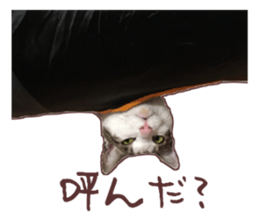 a-chan&shi-chan sticker #15147815