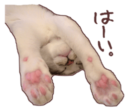 a-chan&shi-chan sticker #15147816