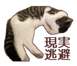 a-chan&shi-chan sticker #15147817