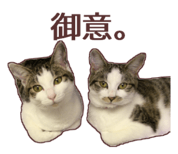 a-chan&shi-chan sticker #15147818