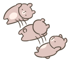 CocoaBear sticker #15149208