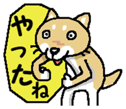 Mr. Shiba 7 sticker #15149899