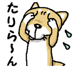 Mr. Shiba 7 sticker #15149902