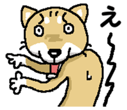 Mr. Shiba 7 sticker #15149903