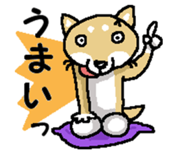 Mr. Shiba 7 sticker #15149905