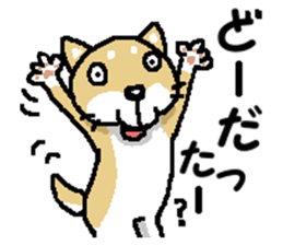 Mr. Shiba 7 sticker #15149906