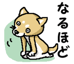 Mr. Shiba 7 sticker #15149907