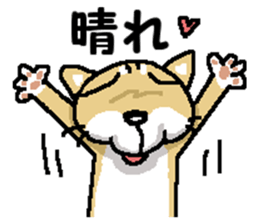 Mr. Shiba 7 sticker #15149908