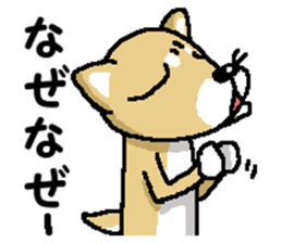 Mr. Shiba 7 sticker #15149913