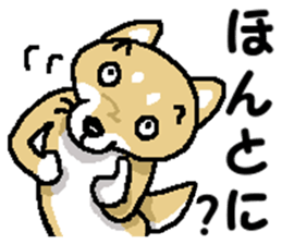 Mr. Shiba 7 sticker #15149914