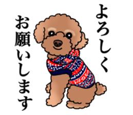 YUTAN the Toy Poodle sticker #15151988