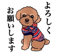 YUTAN the Toy Poodle sticker #15151988