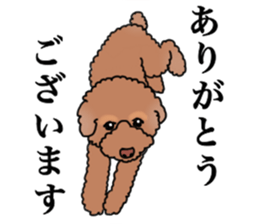 YUTAN the Toy Poodle sticker #15151989