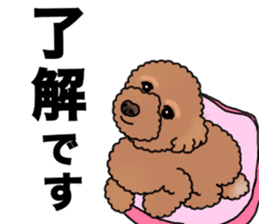 YUTAN the Toy Poodle sticker #15151990