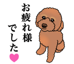 YUTAN the Toy Poodle sticker #15151991