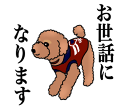 YUTAN the Toy Poodle sticker #15151992